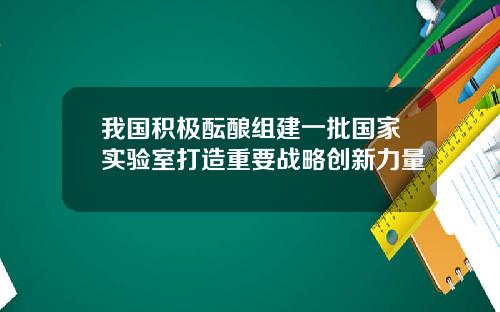 我国积极酝酿组建一批国家实验室打造重要战略创新力量