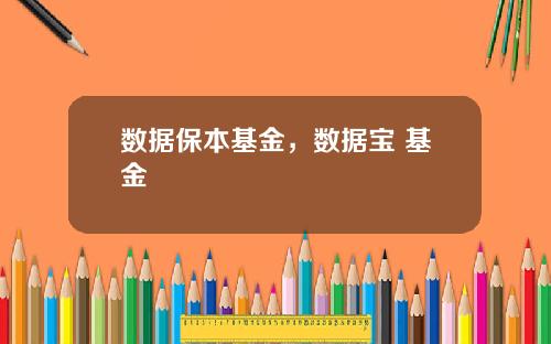 数据保本基金,数据宝 基金
