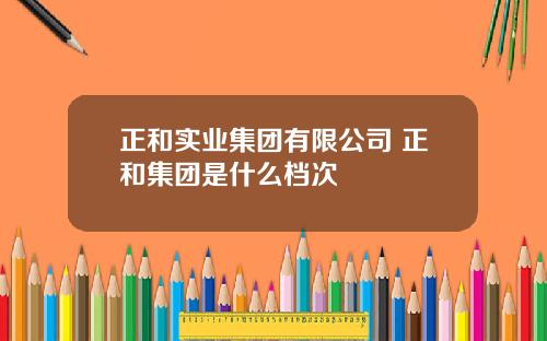 正和实业集团有限公司 正和集团是什么档次