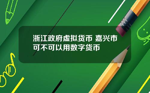 浙江政府虚拟货币 嘉兴市可不可以用数字货币