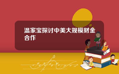 温家宝探讨中美大规模财金合作