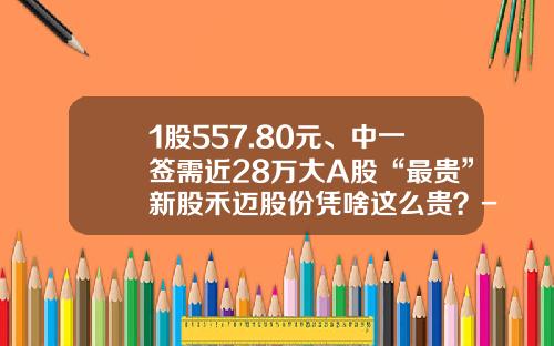 1股557.80元、中一签需近28万大A股“最贵”新股禾迈股份凭啥这么贵？-2010年东方电气年市盈率是多少