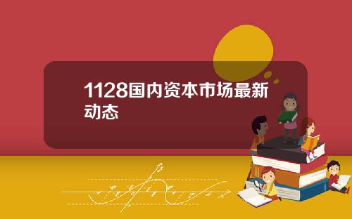 1128国内资本市场最新动态