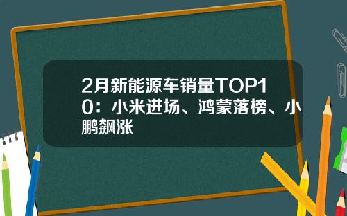 2月新能源车销量TOP10：小米进场、鸿蒙落榜、小鹏飙涨