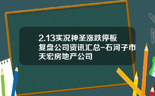 2.13实况神圣涨跌停板复盘公司资讯汇总-石河子市天宏房地产公司