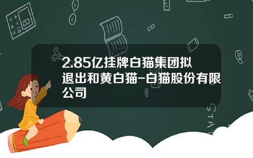 2.85亿挂牌白猫集团拟退出和黄白猫-白猫股份有限公司
