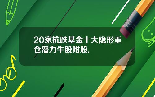 20家抗跌基金十大隐形重仓潜力牛股附股.