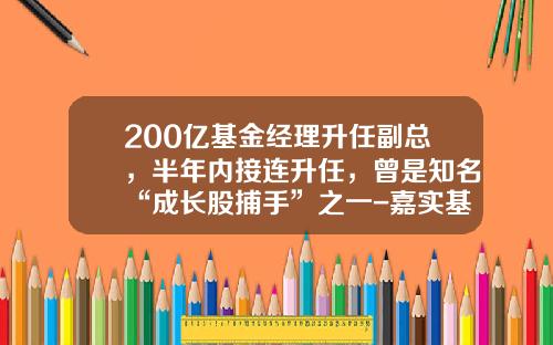 200亿基金经理升任副总，半年内接连升任，曾是知名“成长股捕手”之一-嘉实基金副总