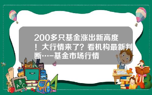 200多只基金涨出新高度！大行情来了？看机构最新判断…-基金市场行情