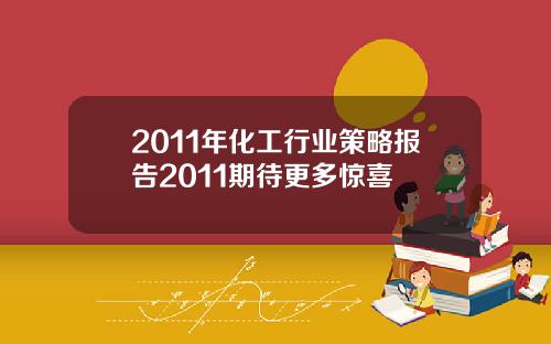 2011年化工行业策略报告2011期待更多惊喜
