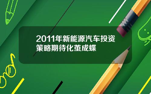 2011年新能源汽车投资策略期待化茧成蝶