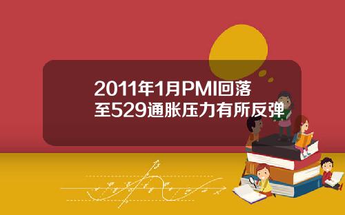 2011年1月PMI回落至529通胀压力有所反弹