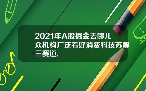 2021年A股掘金去哪儿众机构广泛看好消费科技苏醒三赛道.