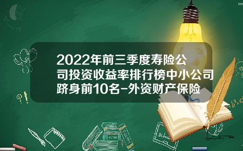 2022年前三季度寿险公司投资收益率排行榜中小公司跻身前10名-外资财产保险公司排名