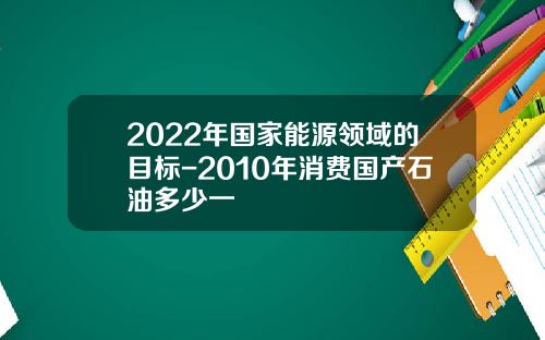 2022年国家能源领域的目标-2010年消费国产石油多少一