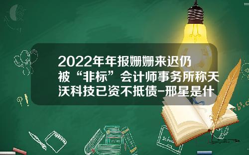 2022年年报姗姗来迟仍被“非标”会计师事务所称天沃科技已资不抵债-邢星是什么公司的董事