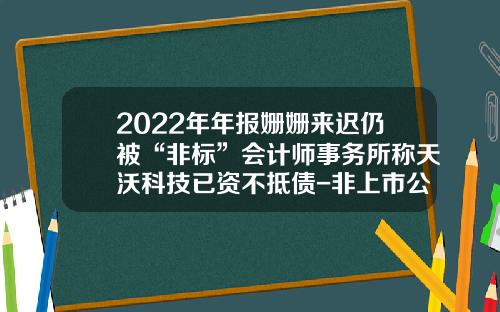 2022年年报姗姗来迟仍被“非标”会计师事务所称天沃科技已资不抵债-非上市公司年报