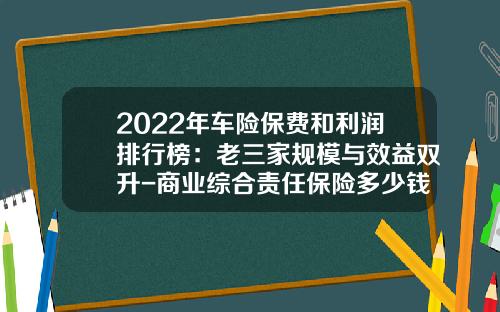 2022年车险保费和利润排行榜：老三家规模与效益双升-商业综合责任保险多少钱【新闻】.