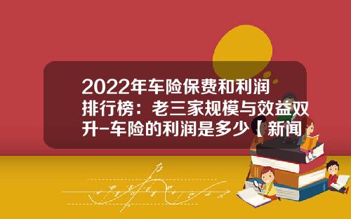 2022年车险保费和利润排行榜：老三家规模与效益双升-车险的利润是多少【新闻】.