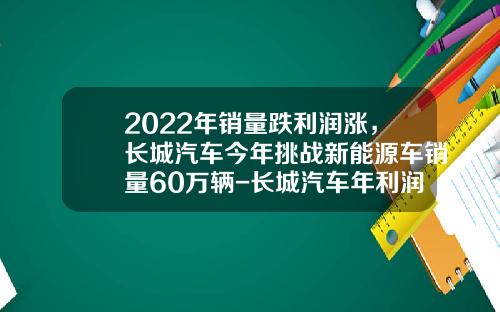 2022年销量跌利润涨，长城汽车今年挑战新能源车销量60万辆-长城汽车年利润多少【新闻】.