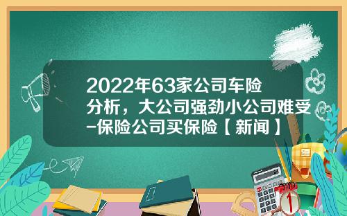 2022年63家公司车险分析，大公司强劲小公司难受-保险公司买保险【新闻】