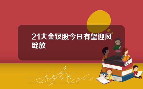 21大金钗股今日有望迎风绽放