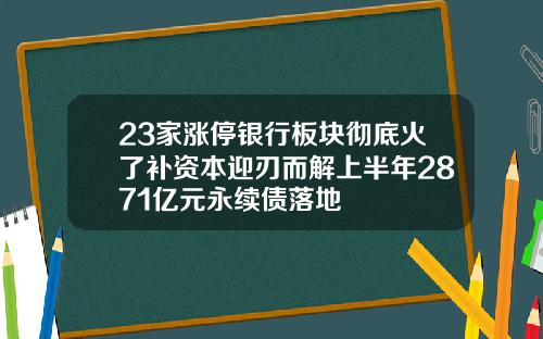 23家涨停银行板块彻底火了补资本迎刃而解上半年2871亿元永续债落地