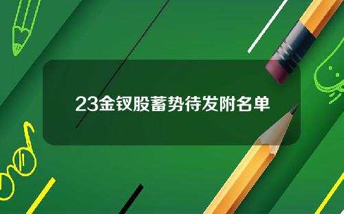 23金钗股蓄势待发附名单