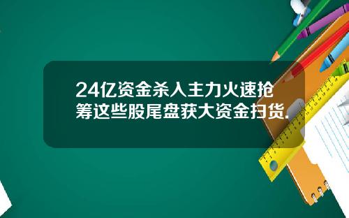 24亿资金杀入主力火速抢筹这些股尾盘获大资金扫货.