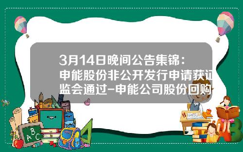 3月14日晚间公告集锦：申能股份非公开发行申请获证监会通过-申能公司股份回购