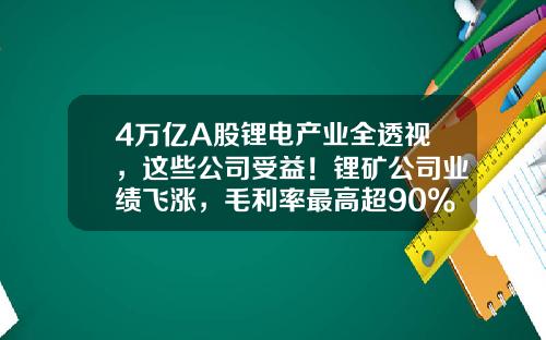 4万亿A股锂电产业全透视，这些公司受益！锂矿公司业绩飞涨，毛利率最高超90%，“宁王”毛利率下滑-上市公司锂储量最大