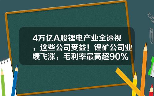4万亿A股锂电产业全透视，这些公司受益！锂矿公司业绩飞涨，毛利率最高超90%，“宁王”毛利率下滑-哪个股票资讯最快好赚的
