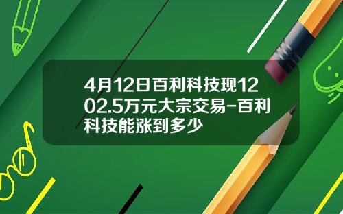4月12日百利科技现1202.5万元大宗交易-百利科技能涨到多少