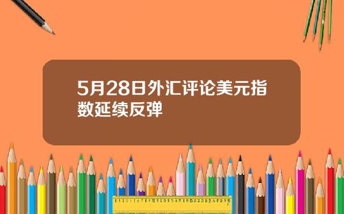 5月28日外汇评论美元指数延续反弹