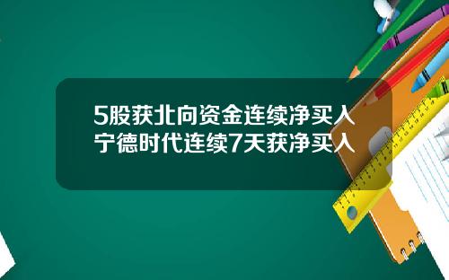 5股获北向资金连续净买入宁德时代连续7天获净买入