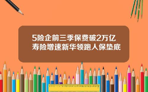 5险企前三季保费破2万亿寿险增速新华领跑人保垫底
