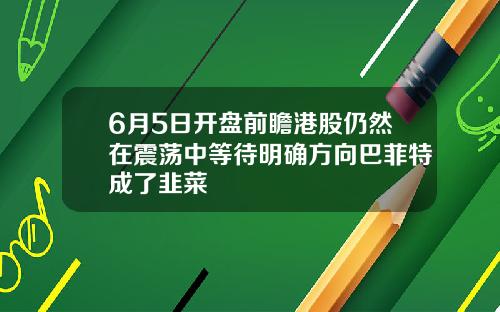 6月5日开盘前瞻港股仍然在震荡中等待明确方向巴菲特成了韭菜