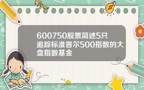 600750股票简述5只追踪标准普尔500指数的大盘指数基金