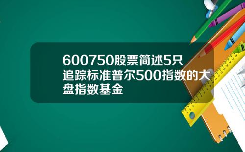 600750股票简述5只追踪标准普尔500指数的大盘指数基金