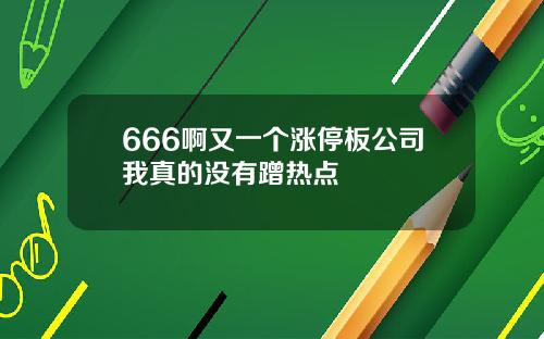 666啊又一个涨停板公司我真的没有蹭热点
