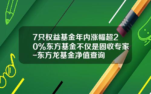 7只权益基金年内涨幅超20%东方基金不仅是固收专家-东方龙基金净值查询