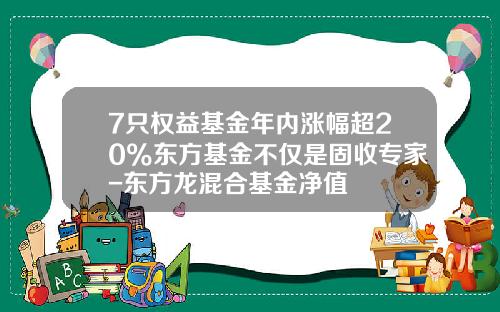 7只权益基金年内涨幅超20%东方基金不仅是固收专家-东方龙混合基金净值