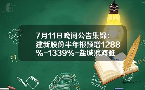 7月11日晚间公告集锦：建新股份半年报预增1288%-1339%-盐城滨海雅本化学建农子公司