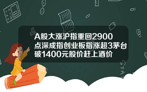 A股大涨沪指重回2900点深成指创业板指涨超3茅台破1400元股价赶上酒价
