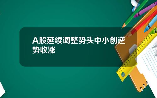A股延续调整势头中小创逆势收涨