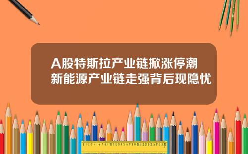 A股特斯拉产业链掀涨停潮新能源产业链走强背后现隐忧