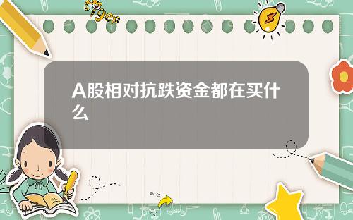 A股相对抗跌资金都在买什么