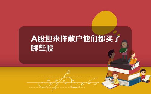 A股迎来洋散户他们都买了哪些股
