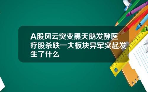 A股风云突变黑天鹅发酵医疗股杀跌一大板块异军突起发生了什么
