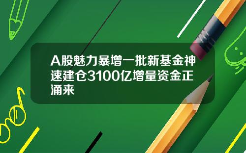 A股魅力暴增一批新基金神速建仓3100亿增量资金正涌来